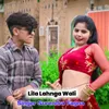 About Lila Lahnga Wali Song